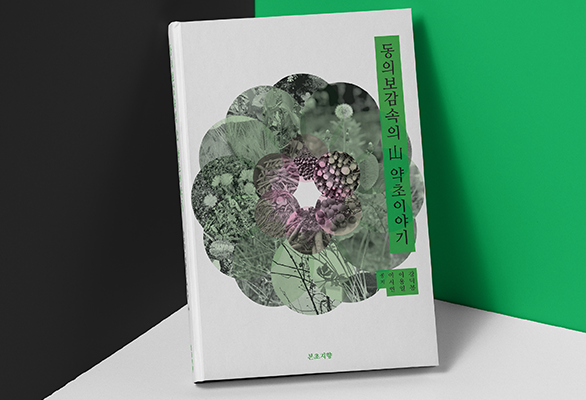 Editorial Design